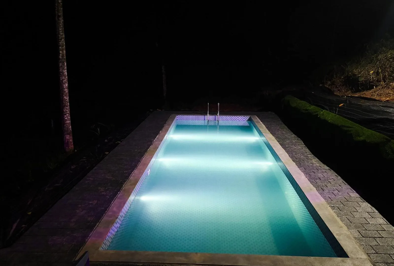 Eco Hills Private Pool Villa Munnar India
